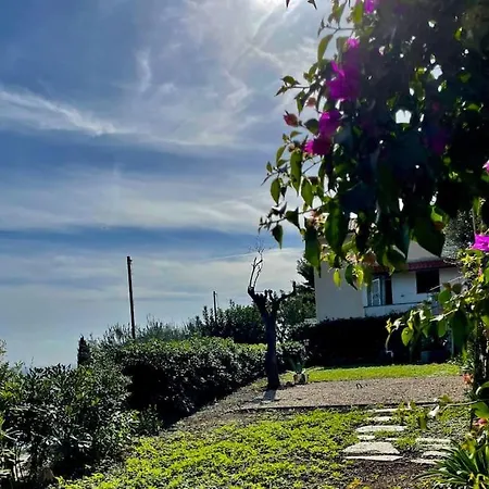 Panoramica Con Giardino