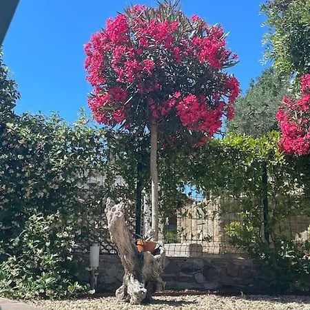 Casa vacanze Panoramica Con Giardino